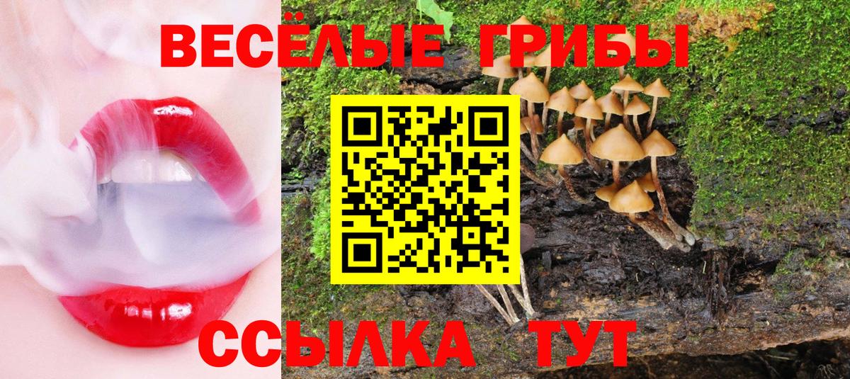 Псилоцибиновые грибы мицелий Великие Луки